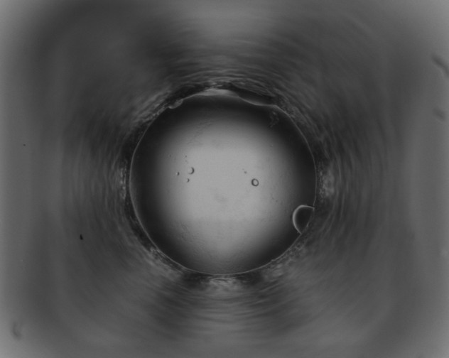 X0000092310666200709141354