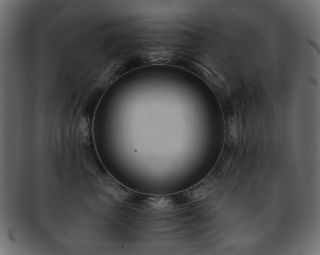 X0000092310667200709141354