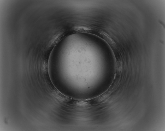 X0000092310669200709141354