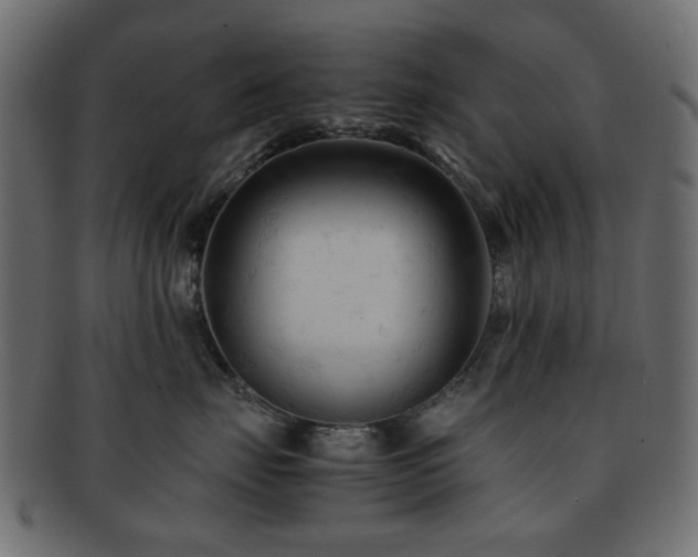 X0000092310671200709141354