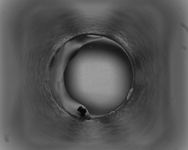X0000092310673200709141354