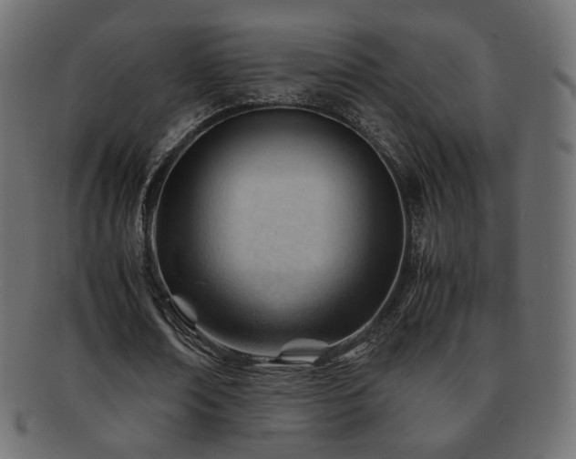 X0000092310674200709141354