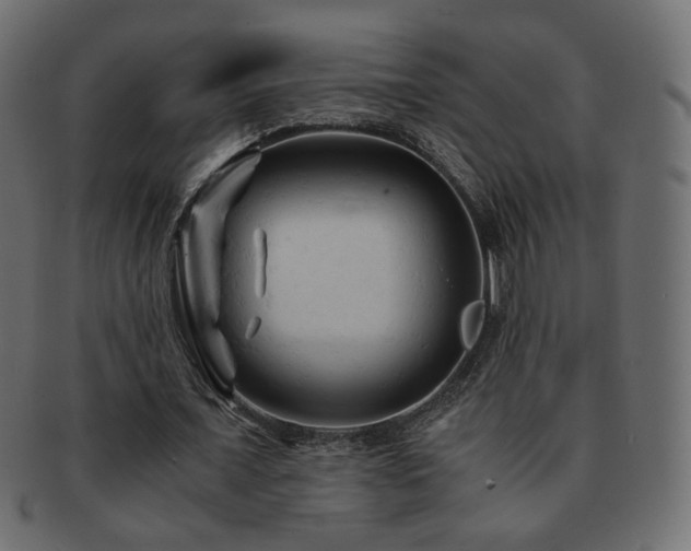 X0000092310675200709141354