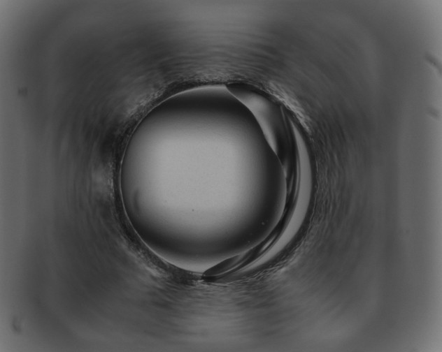 X0000092310681200709141354
