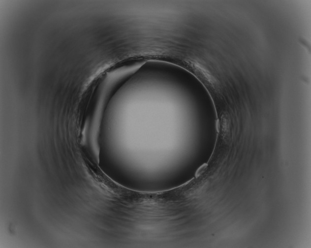 X0000092310684200709141354