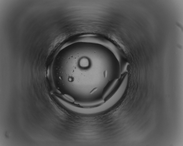 X0000092310685200709141354