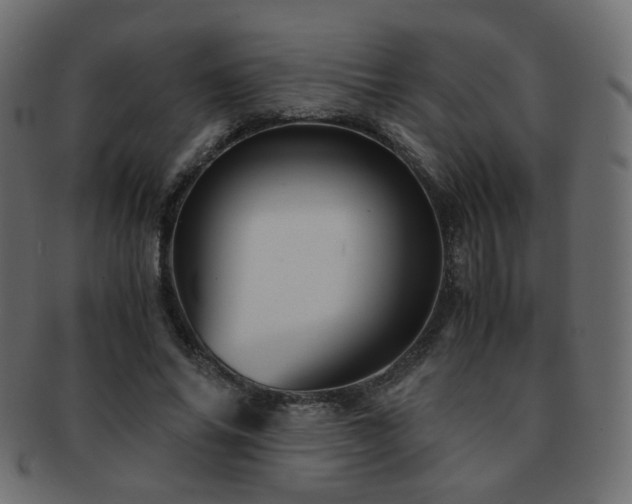 X0000092310686200709141354