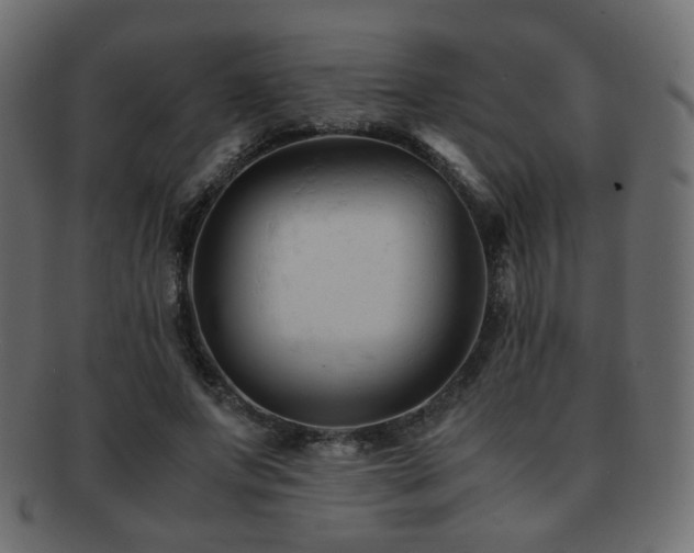 X0000092310687200709141354