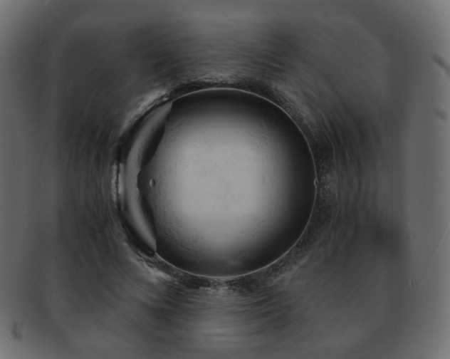 X0000092310688200709141353