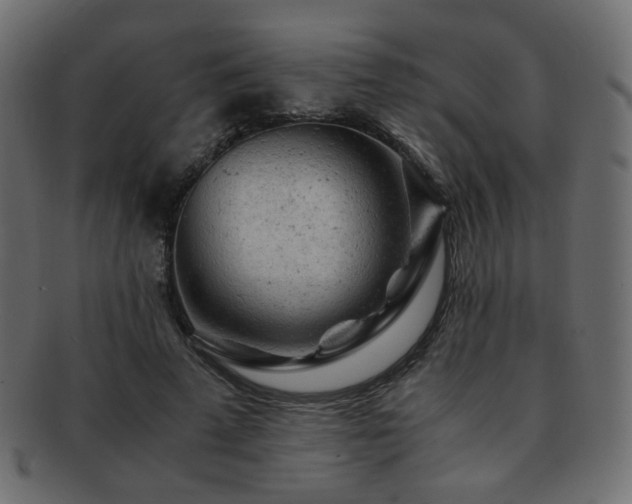 X0000092310689200709141353