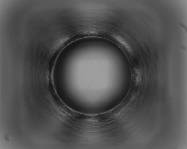 X0000092310692200709141353