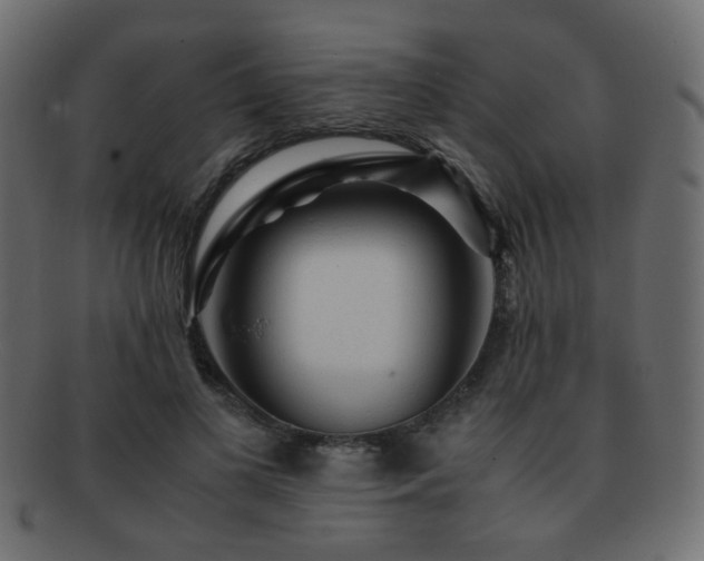 X0000092310693200709141353