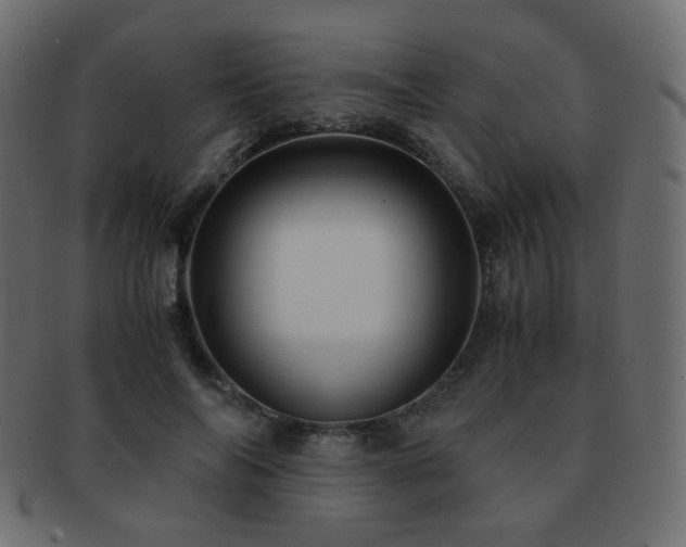 X0000092310694200709141353