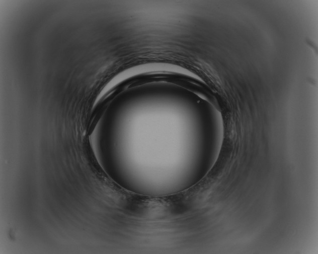 X0000092310697200709141353