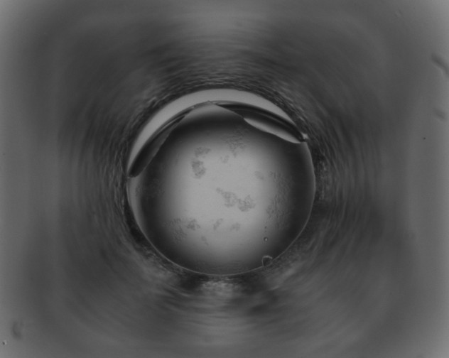 X0000092310699200709141353