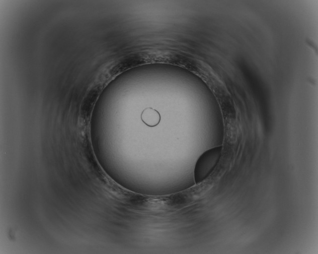 X0000092310701200709141353