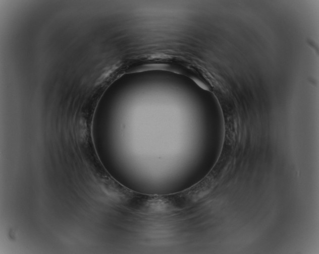 X0000092310704200709141353