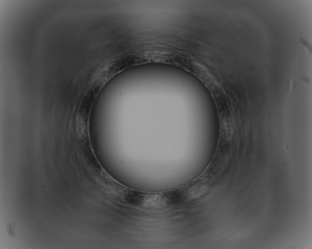 X0000092310705200709141353