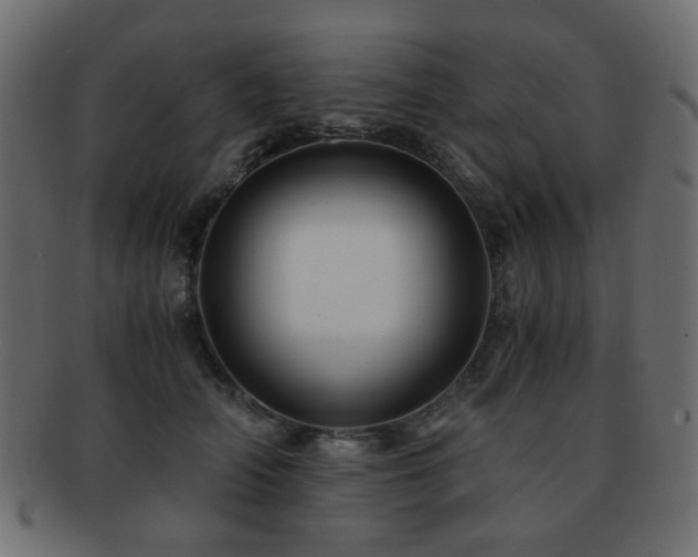 X0000092310706200709141353