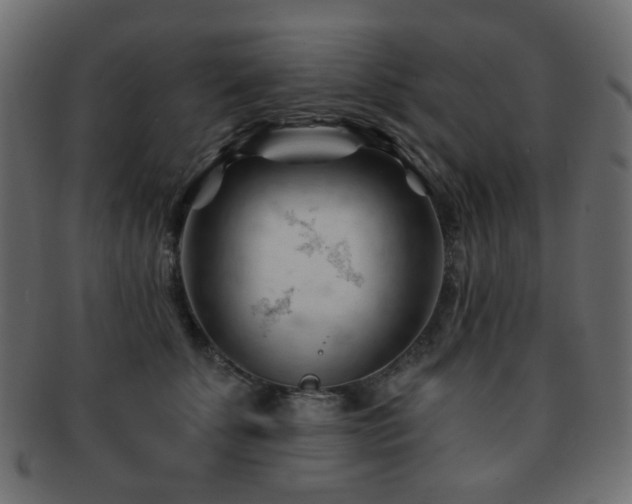 X0000092310707200709141353