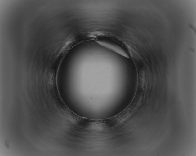 X0000092310708200709141353