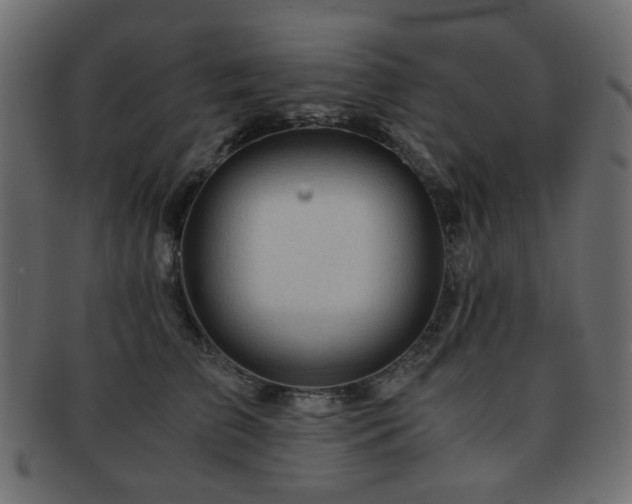 X0000092310709200709141353