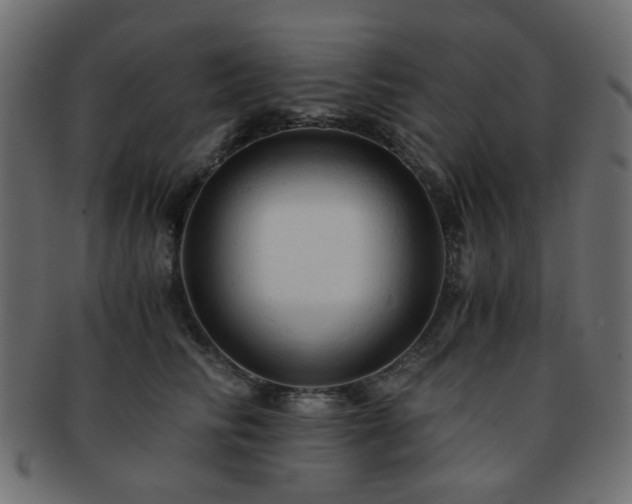 X0000092310710200709141353