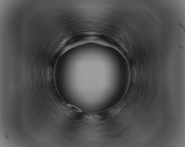 X0000092310712200709141353