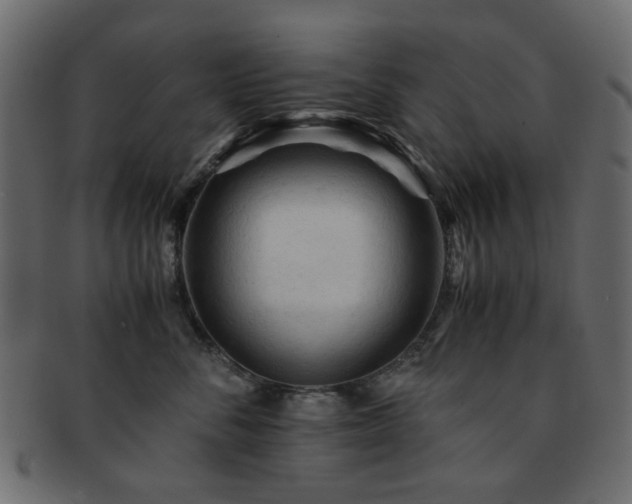 X0000092310716200709141353