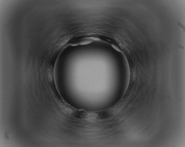 X0000092310719200709141353