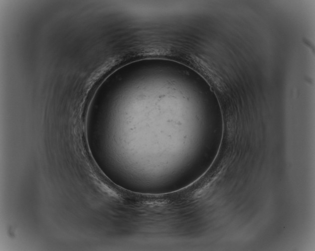 X0000092310721200709141353