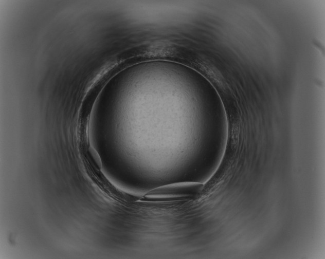 X0000092310722200709141353