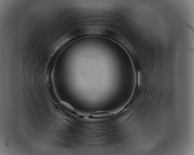 X0000092310723200709141353
