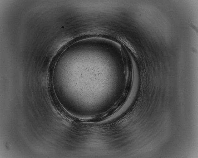 X0000092310724200709141353