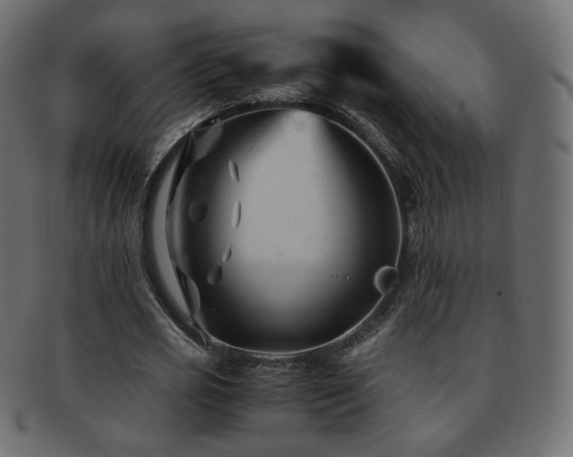 X0000092310725200709141353