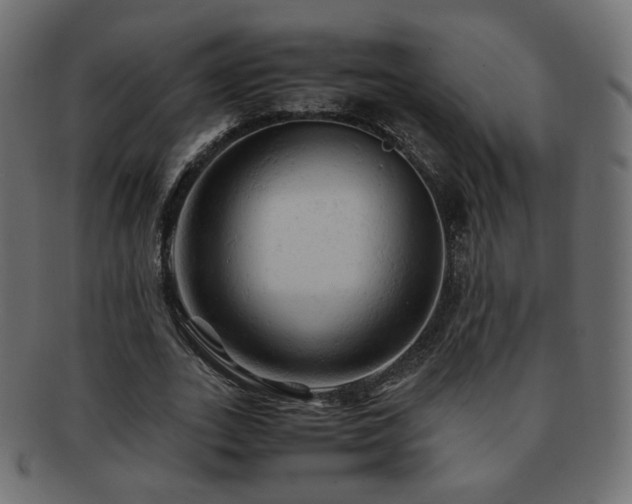 X0000092310727200709141353