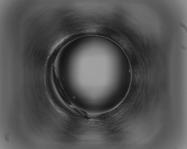 X0000092310728200709141353