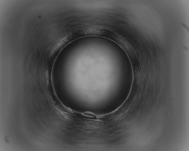 X0000092310729200709141353