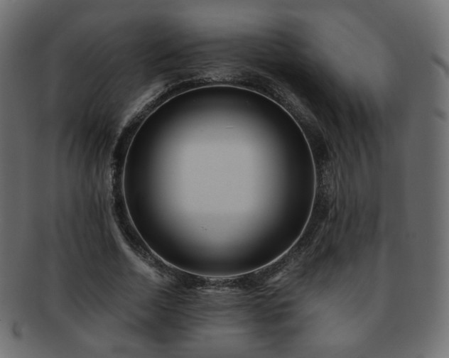 X0000092310730200709141353