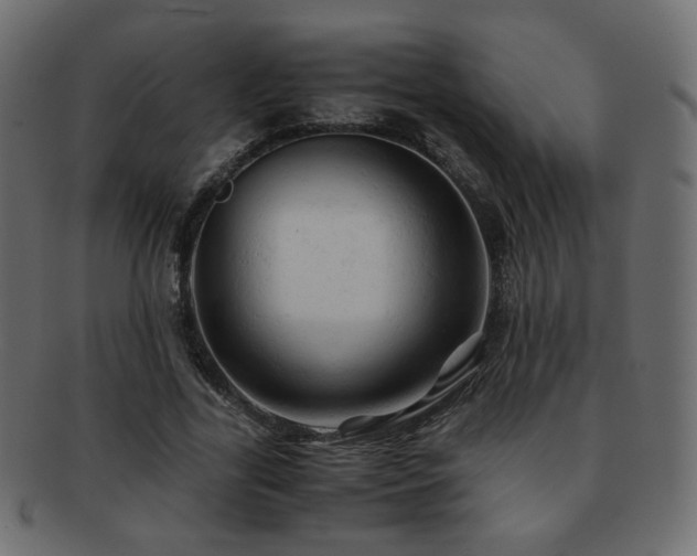X0000092310731200709141353