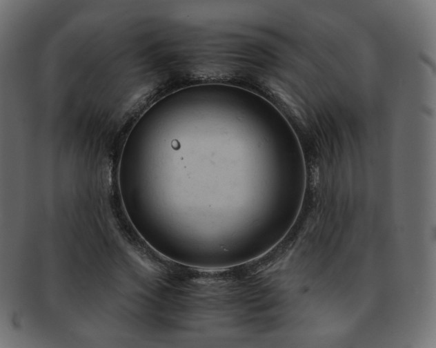 X0000092310733200709141353