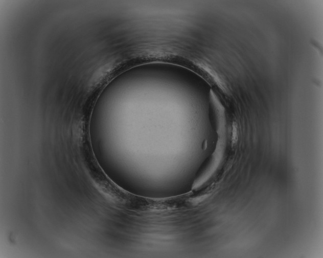 X0000092310736200709141353