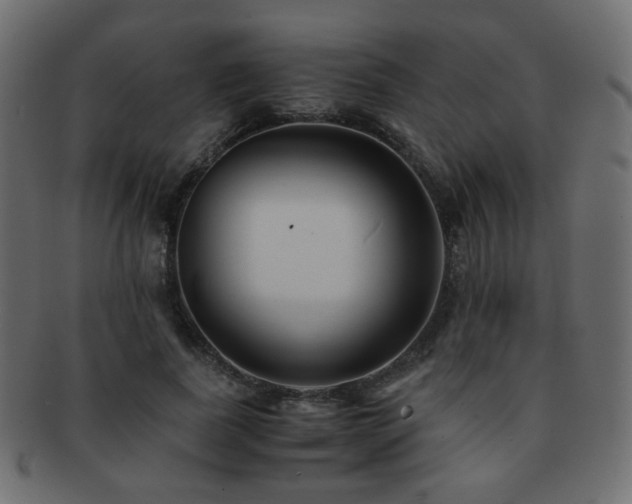 X0000092310739200709141353