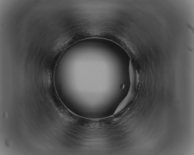 X0000092310740200709141353