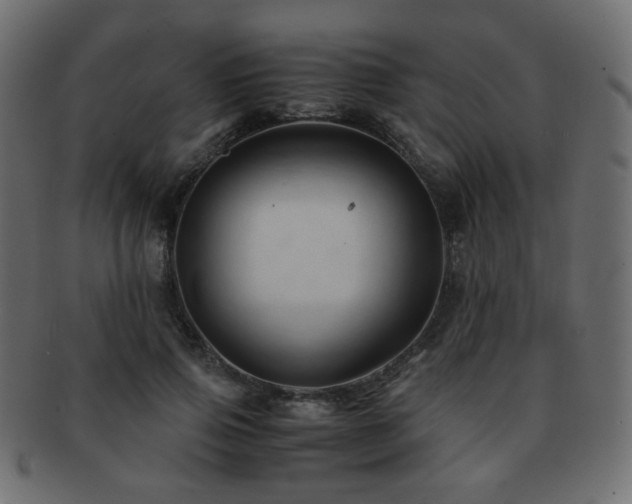 X0000092310741200709141353