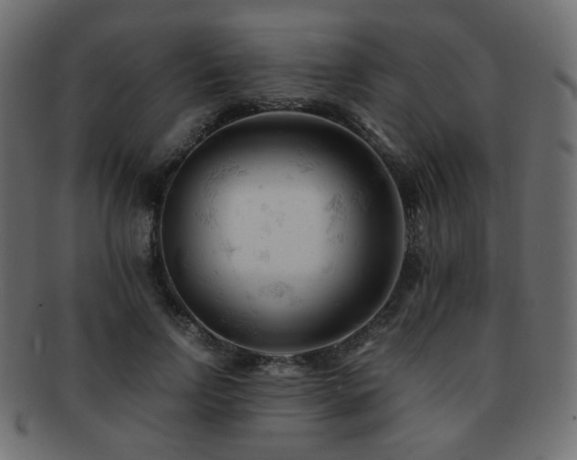 X0000092310742200709141353