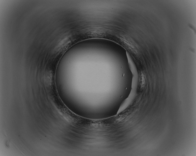 X0000092310744200709141353