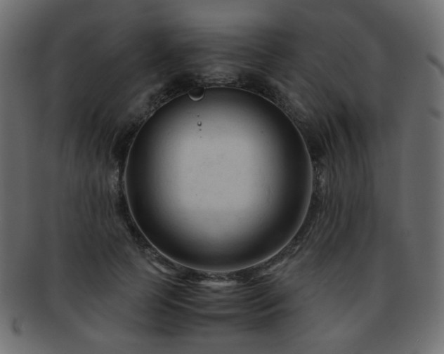 X0000092310745200709141353
