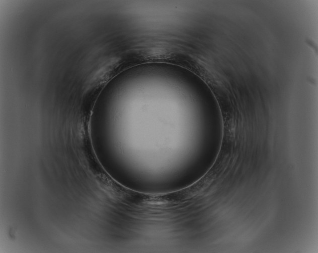 X0000092310746200709141353