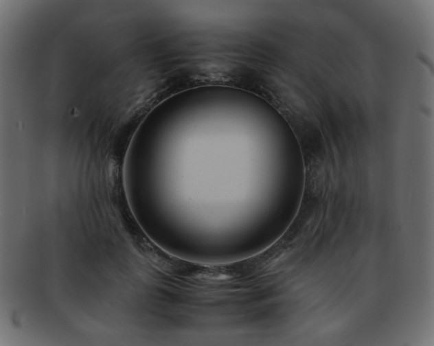 X0000092310747200709141353